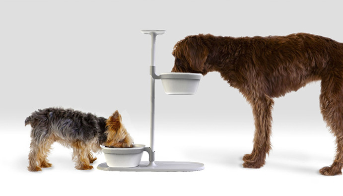 ظرف غذای سگ پایه دار