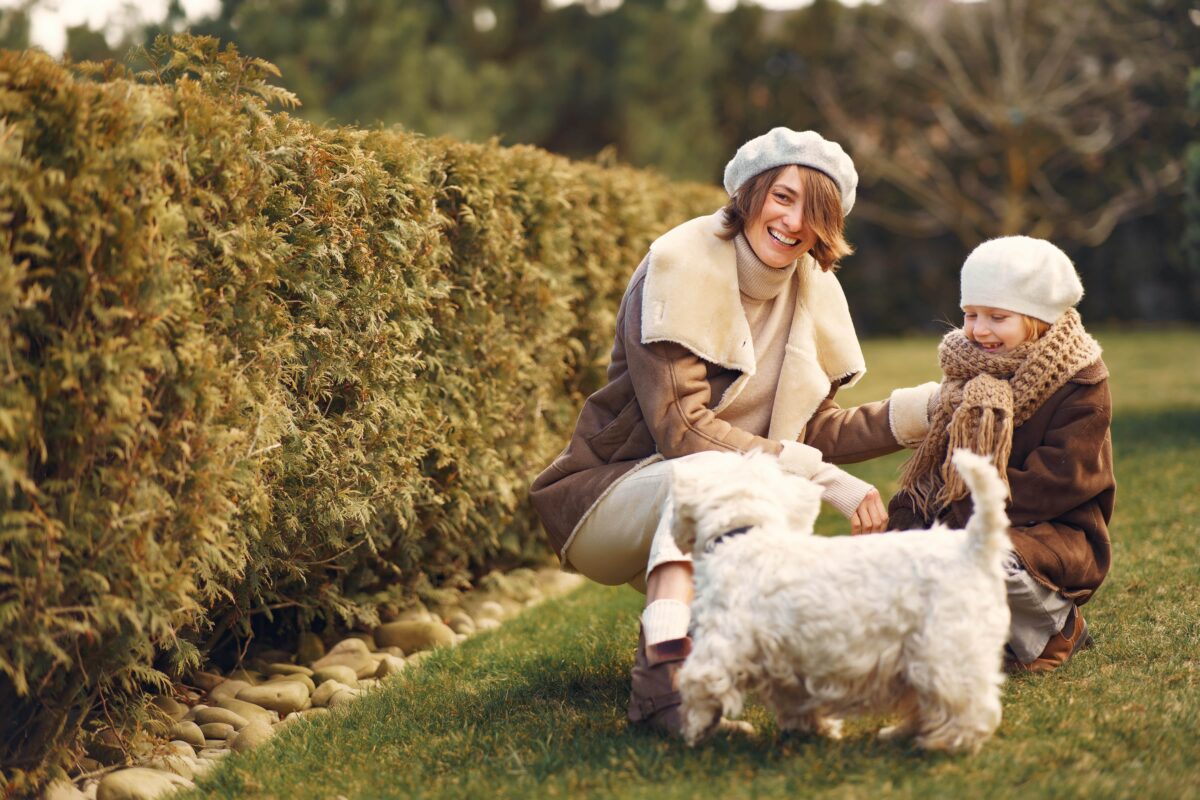 سگ بیچون فرایز در حال بازی با مادر و کودک در فضای باز 