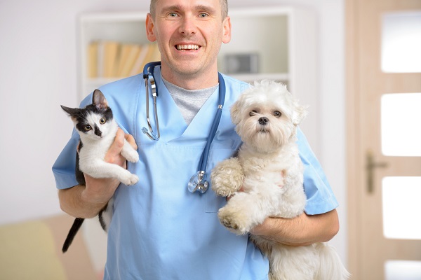 دامپزشک به همراه سگ و گربه