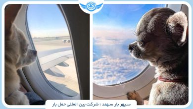 ارسال حیوان خانگی با هواپیما