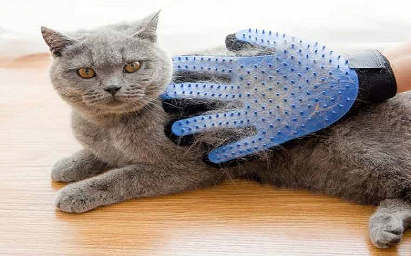 دستکش لاتکس برای موی سگ و گربه